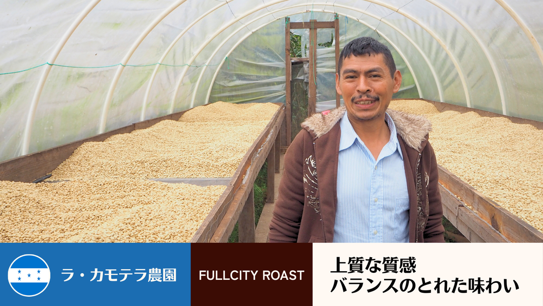 【新銘柄発売のお知らせ】ニカラグア / ホンジュラス