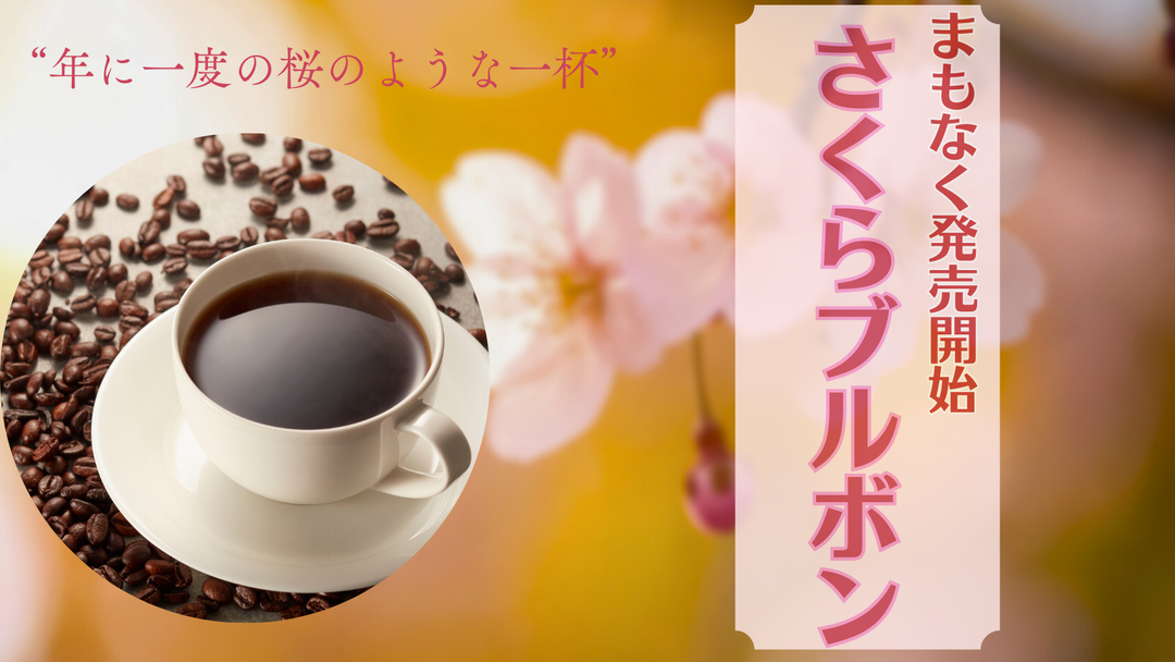 【まもなく発売開始】年に一度のコーヒー「ブラジル さくらブルボン」
