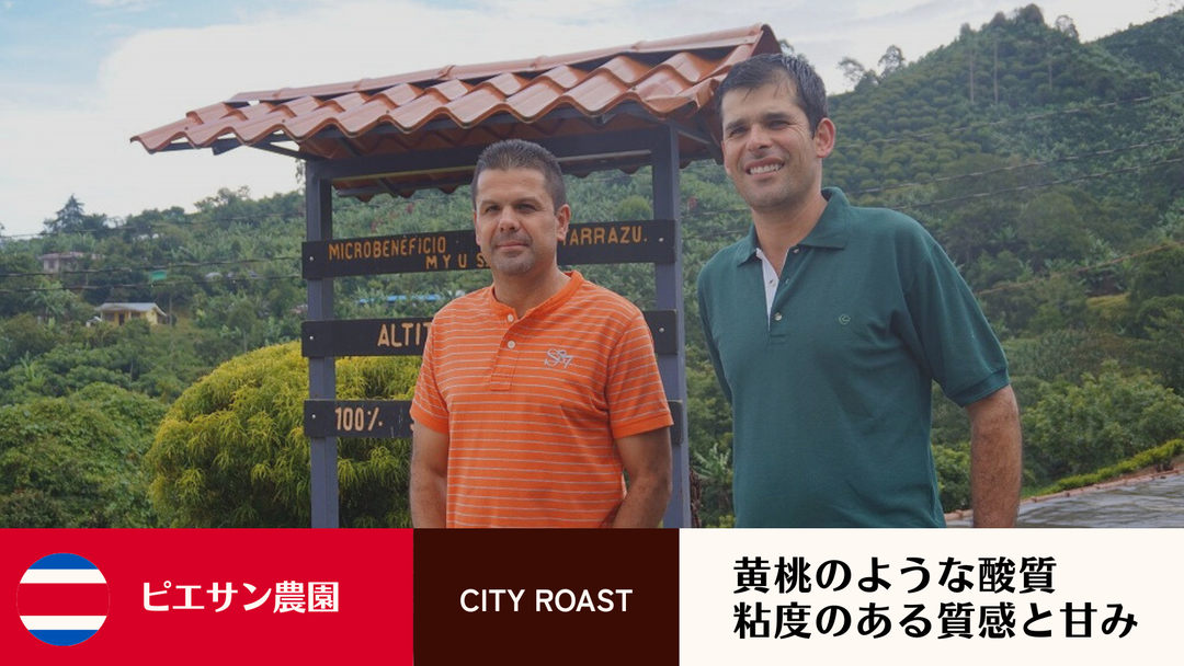 【新春にオススメ！】コスタリカより新銘柄が入荷！