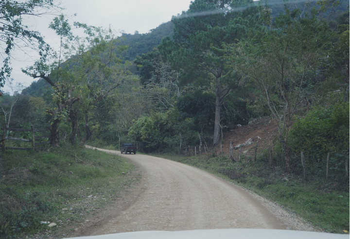 Rich＃2／ホンジュラス ラ・カモテラ