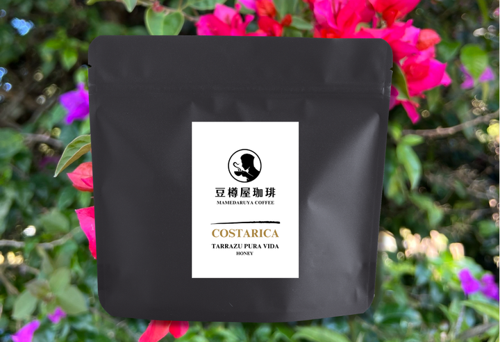 ドリップバッグ【まろやかな味わい（Mild）】単品