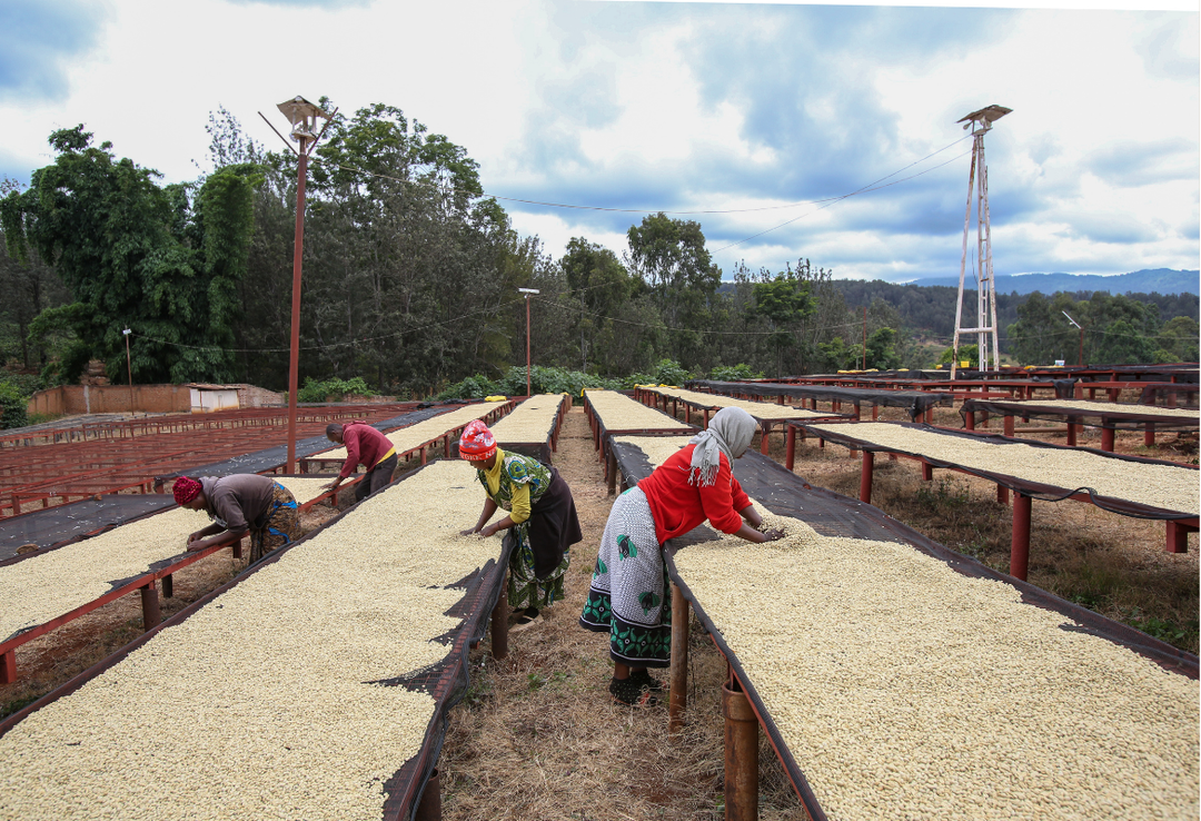 Rich＃2／タンザニア ンゴロンゴロ