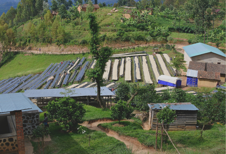 Rich＃3／ルワンダ スカイヒル