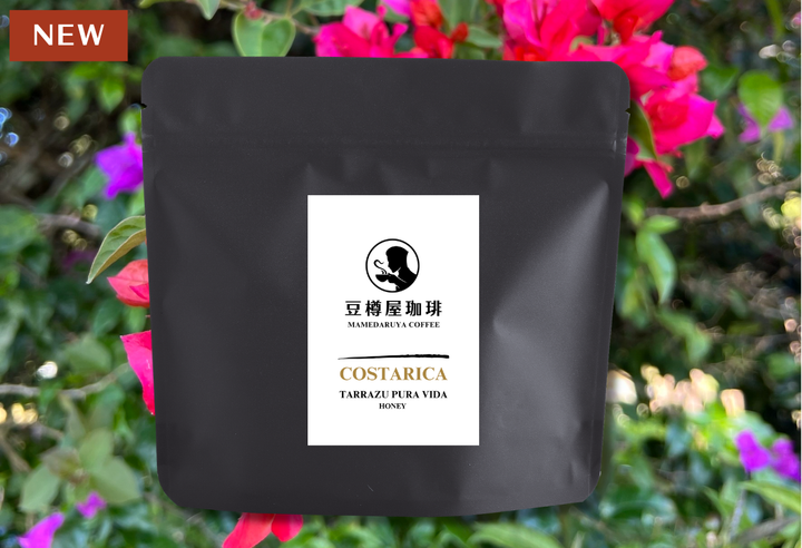 Mild＃2／コスタリカ タラス プーラビーダ