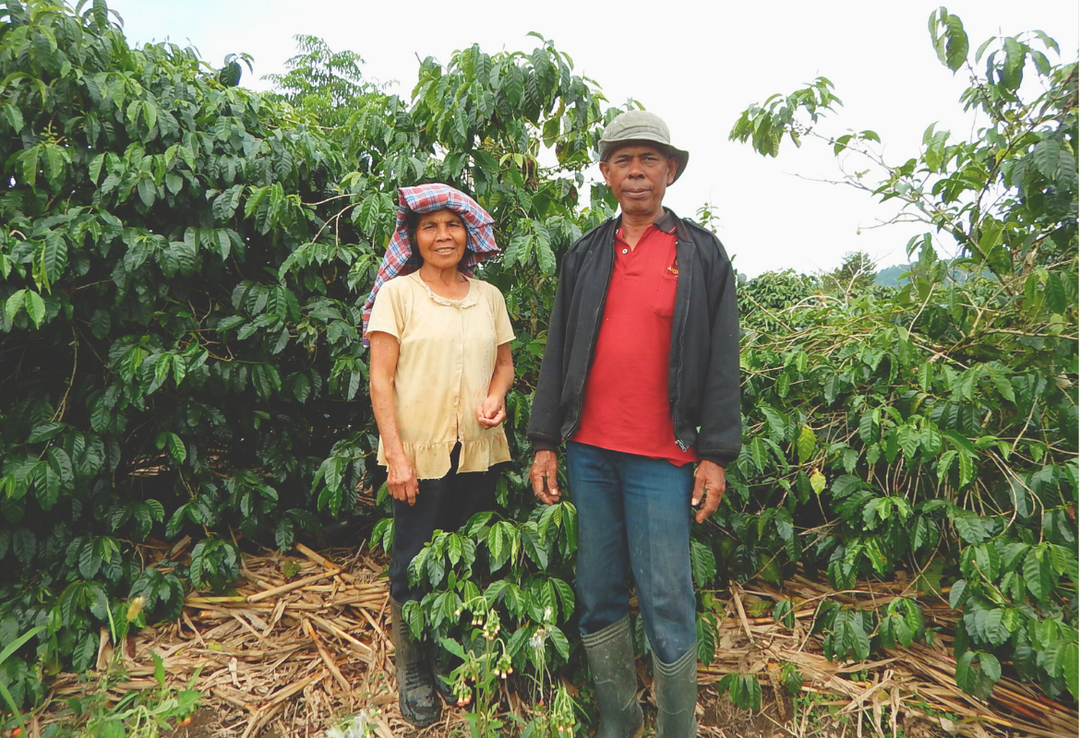 Rich＃1／インドネシア マンデリン リントン