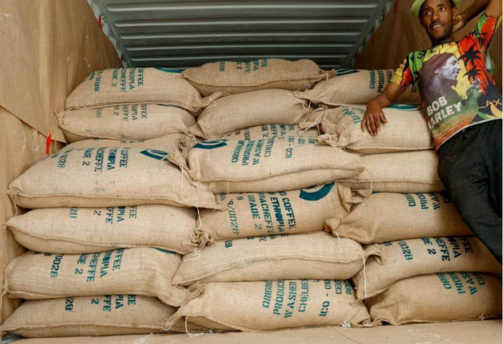 Mild＃3／エチオピア モカ イルガチェフェ