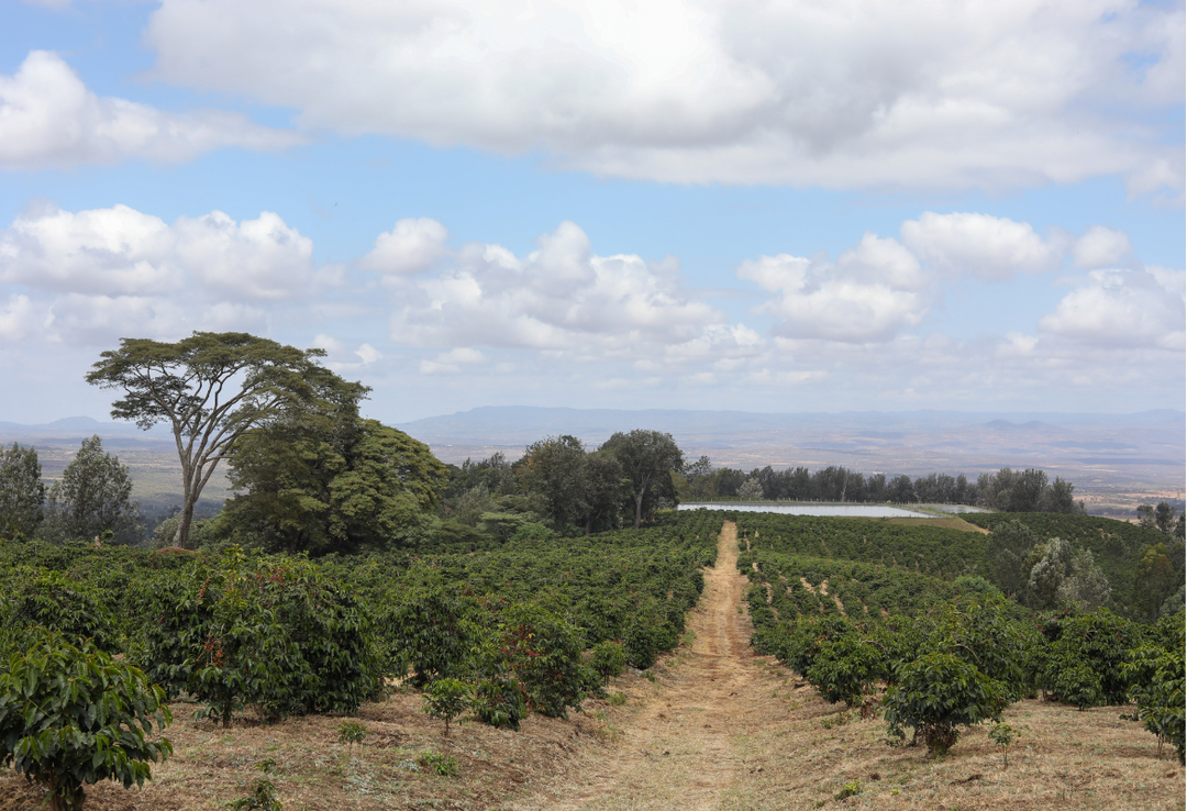 Rich＃2／タンザニア ンゴロンゴロ