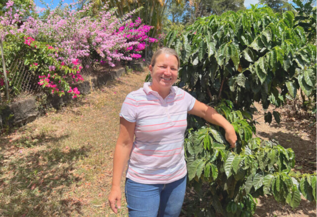 Mild＃1／コスタリカ セントラルバレー