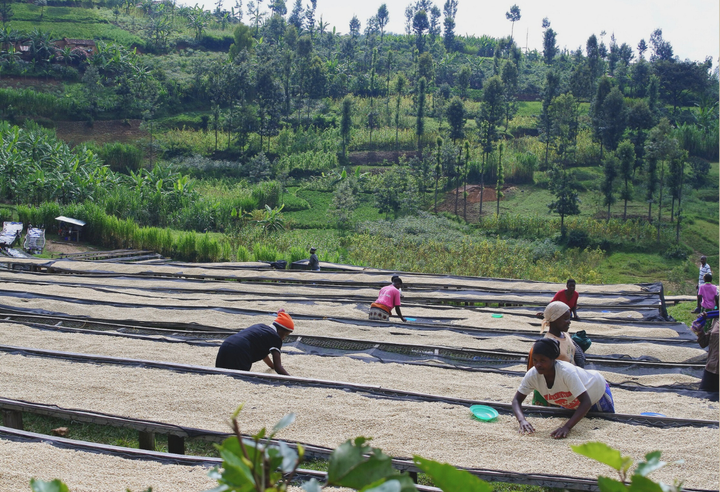 Rich＃3／ルワンダ スカイヒル