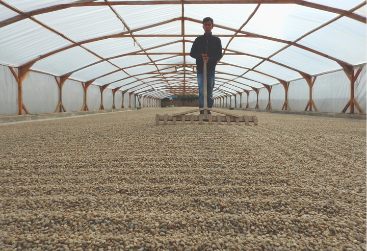 Rich＃1／インドネシア マンデリン リントン