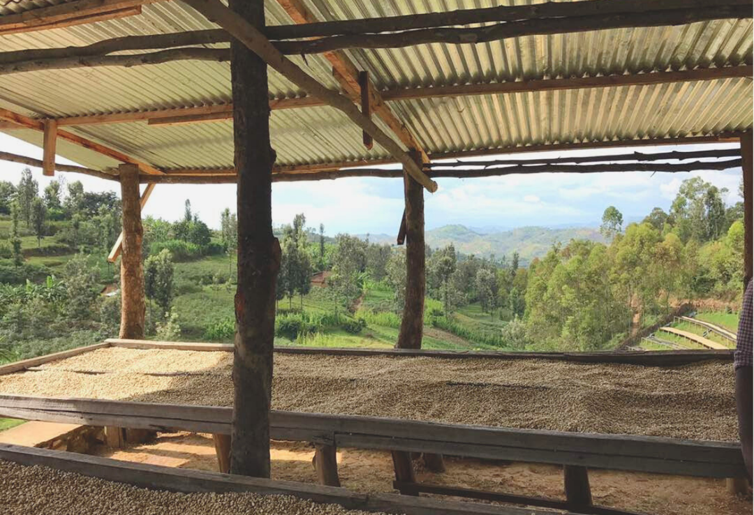 Rich＃3／ルワンダ スカイヒル