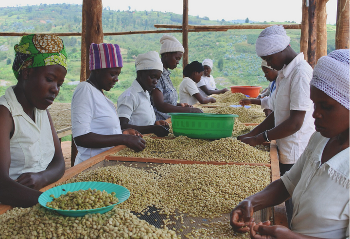 Rich＃3／ルワンダ スカイヒル