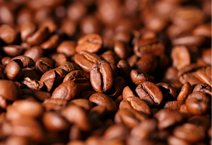 Mild＃2／ブラジル さくらブルボン