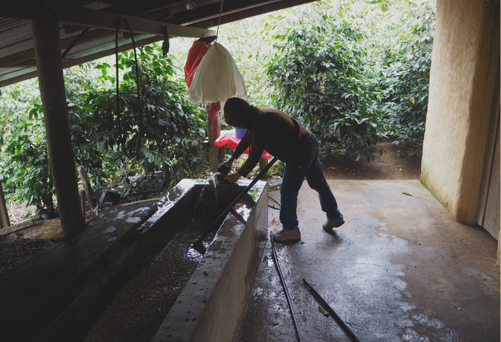 Rich＃2／ホンジュラス ラ・カモテラ