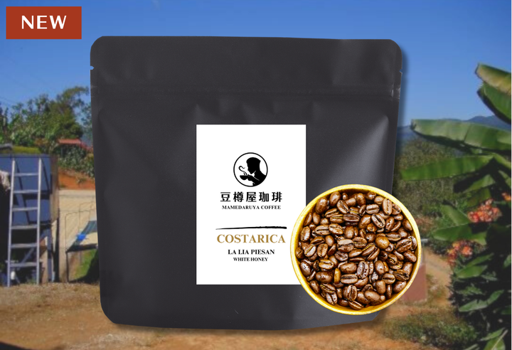 Mild＃1／コスタリカ ラ・リア ピエサン