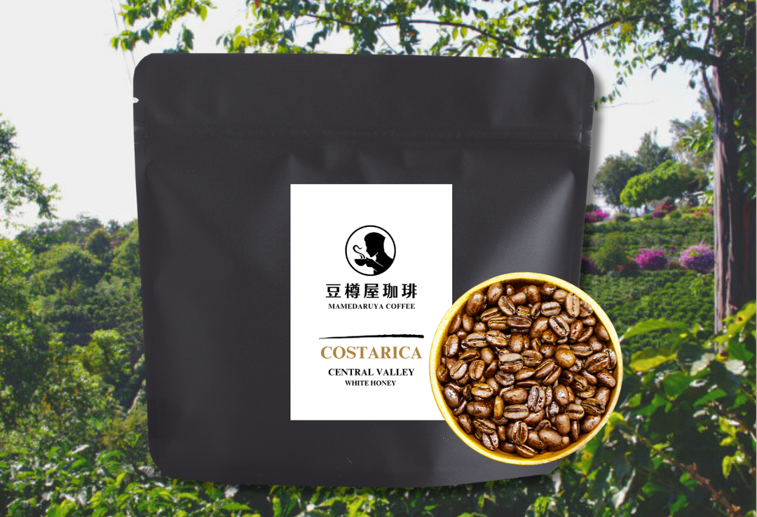 ドリップバッグ【まろやかな味わい（Mild）】５＋１個入りセット