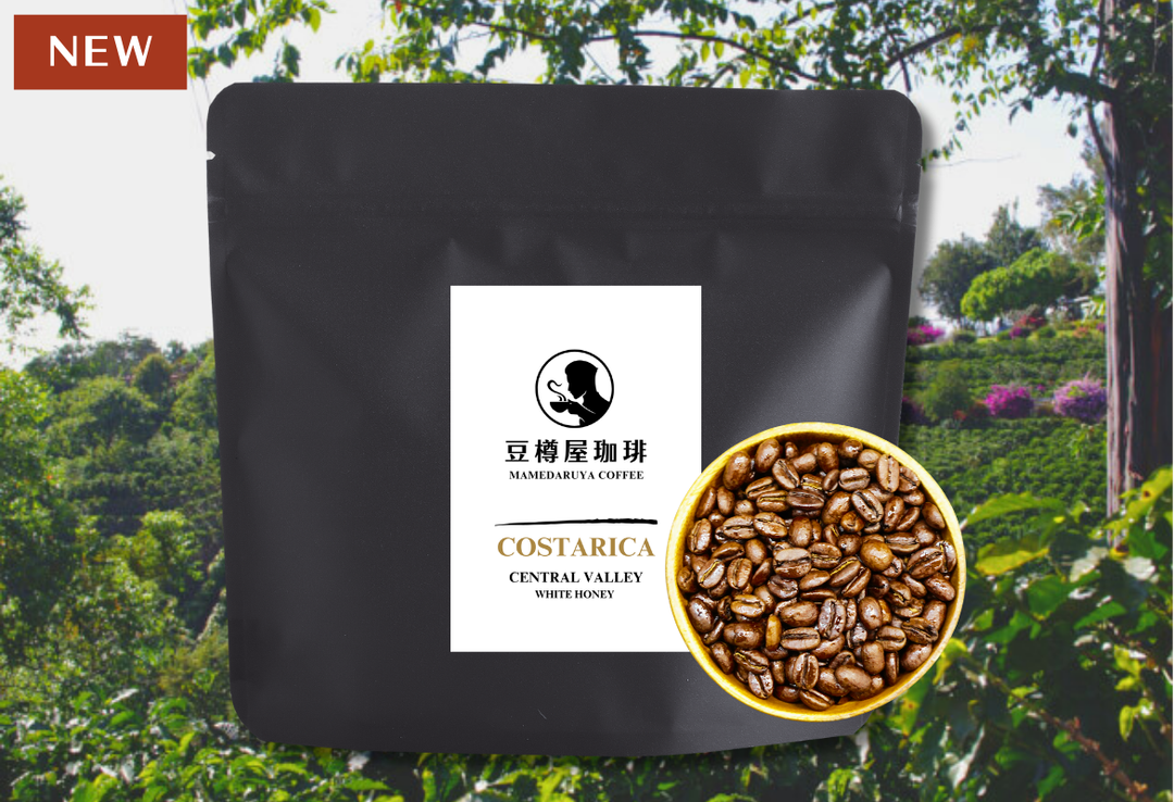 Mild＃1／コスタリカ セントラルバレー