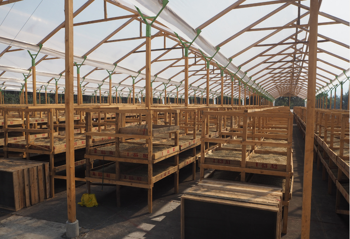 Mild＃4／グアテマラ アンティグア